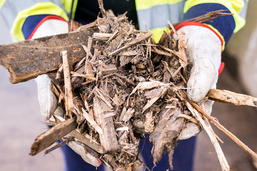 Biomass