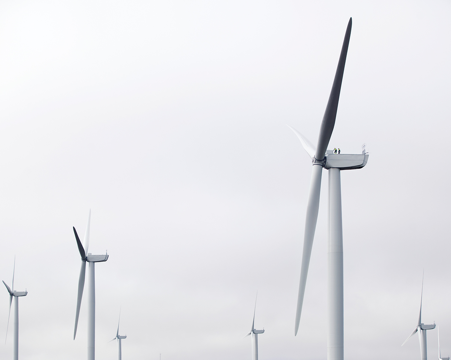 wind farm